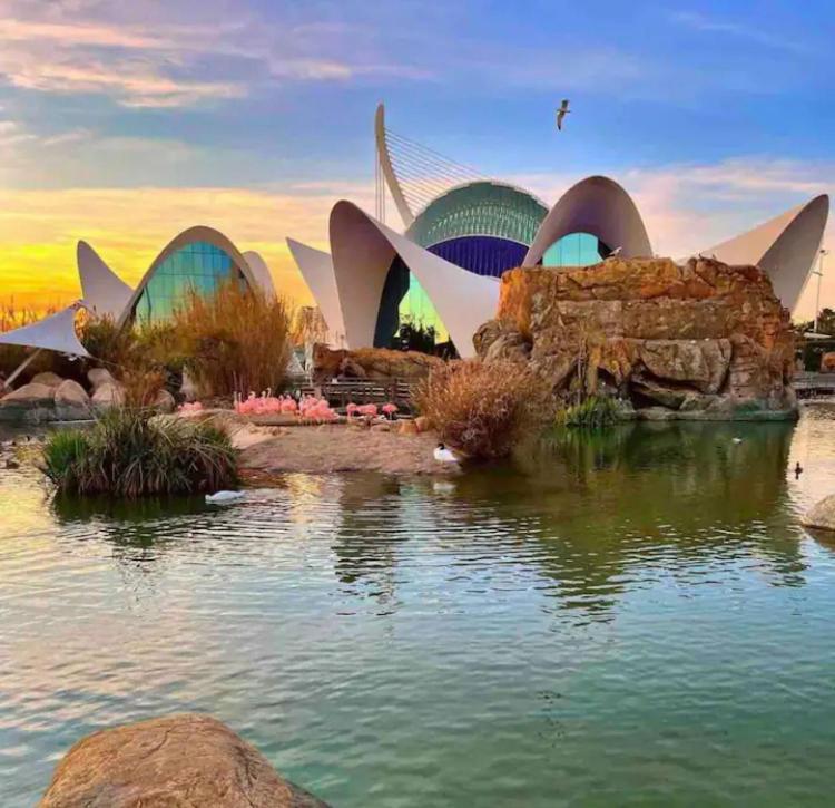 Lovely Apartment Near Beach & Science City Valencia Exteriör bild